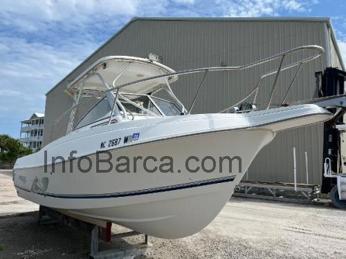 Aquasport 250 Explorer scheda tecnica e recensioni